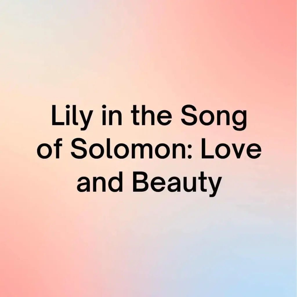 Lily in the Song of Solomon