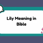 Lily Meaning in Bible