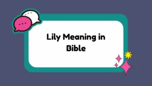 Lily Meaning in Bible